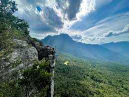 Whispers of the Misty Valley: A Wondrous Day in Riverston